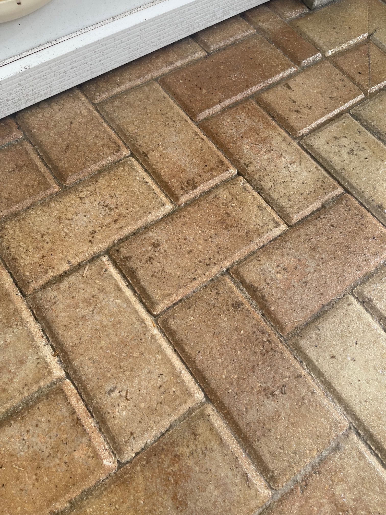 How to Clean Belgard Pavers? Paver Maintenance Guide - Eagle Pavers